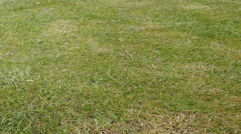Transformace trávníku v Budyni nad Ohří. Oživení trávníku po zanedbané sezóně, dodání potřebných živin, následná transformace. slideshow1