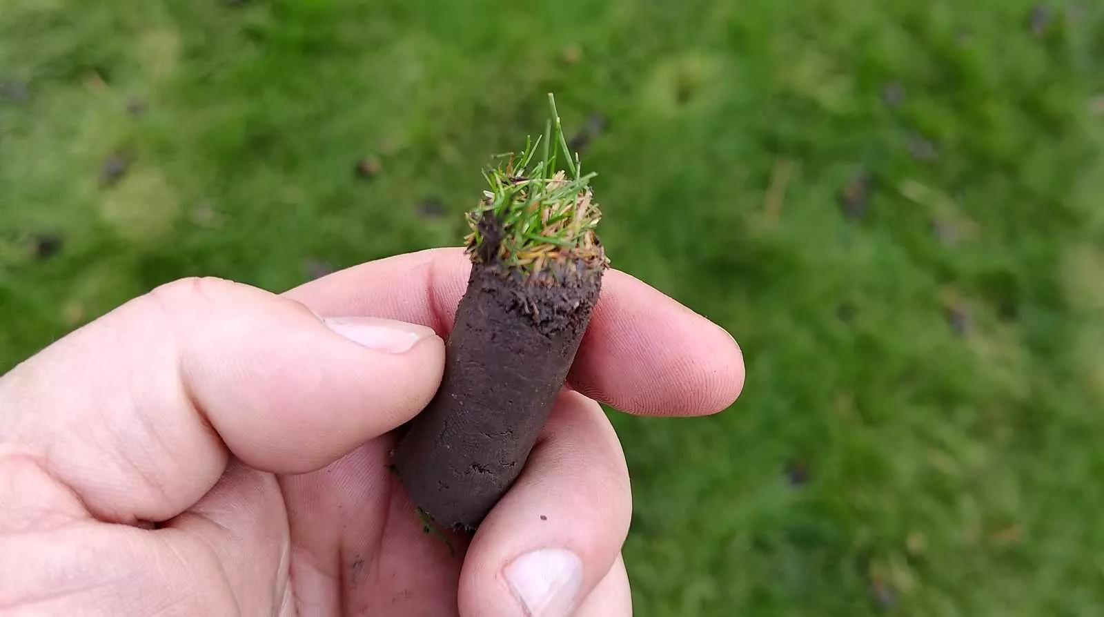 Propíchání trávníku dutými hroty a přepískování