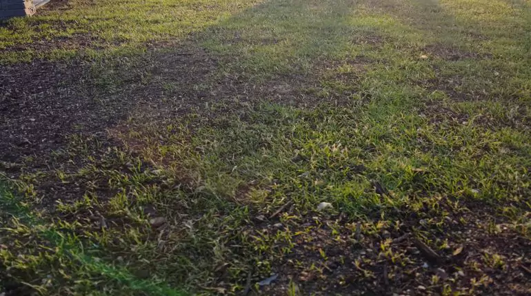 Péče během sezóny