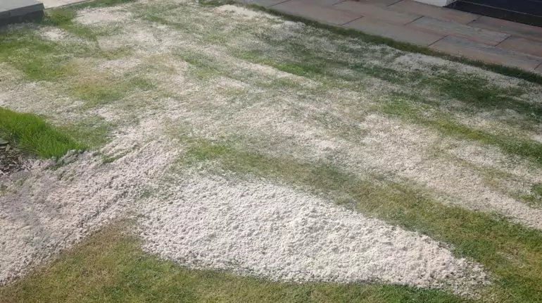 Pískování trávníku