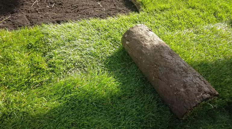 Pokládka travního koberce