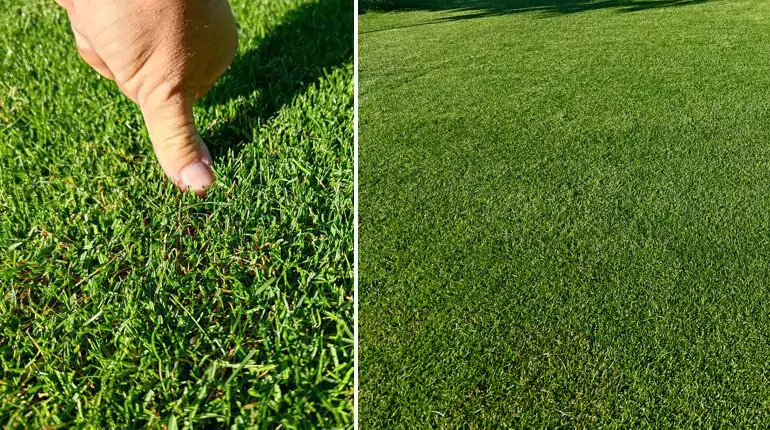 Péče o trávníky, instalace a servis závlah Most, reference Travník+